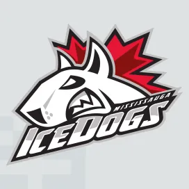 Mississauga ice dogs 4